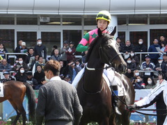 20170312 中山5R 3歳未勝利 バトルオスカー 13