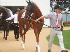 20180930 中山2R 2歳未勝利 クラサーヴィツァ 08