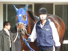 20180224 中山10R 富里特別(1000) ラッシュアタック 03