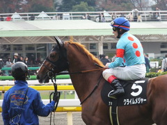 20161127 東京7R ベゴニア賞 クライムメジャー 18