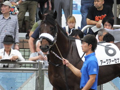 20160918 中山12R (500) アークアーセナル 09