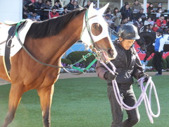 20151226 中山2R 2歳未勝利 カズノメガミ 05