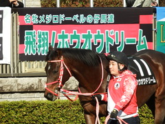 20180128 東京10R 早春S(1600) ホウオウドリーム 17