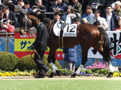 20140316 中山5R キングラナキラ 06