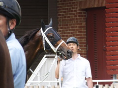 20170624 函館11R 大沼S (OP) ショウナンアポロン 12