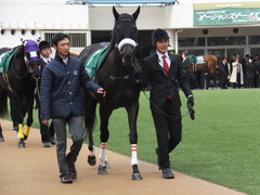 20150307 中山11R オーシャンS(G3) ショウナンアチーヴ 02