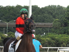 20161012 大井2R 3歳95万下 マルカンヒラリー 20