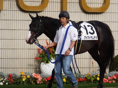 20151121 京都1R 2歳未勝利 アドマイヤムテキ 02