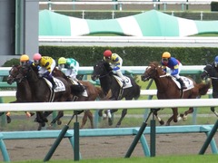 20160911 中山6R 2歳メイクデビュー リュクスワンダー 14