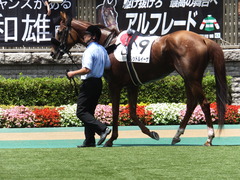 20140629 東京7R レッドルイーザ 08