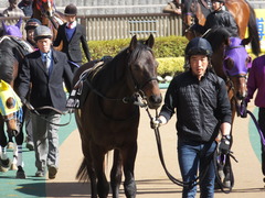 20150214 東京8R 春嶺JS メジロサンノウ 02