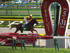 20150530 東京10R 薫風S ランドマーキュリー 11