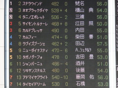 20150221 東京11R ダイヤモンドS(G3) ラブイズブーシェ 01