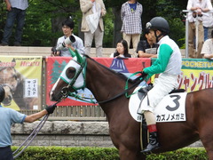 20150621 東京5R 2歳メイクデビュー カズノメガミ 09