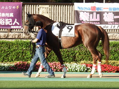 東京12R (1000) メイショウノボサン 02
