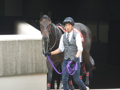 20141012 東京8R 東京HJ メジロサンノウ 02