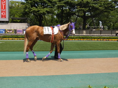 20140426 東京4R スクノード 06