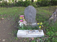 馬頭観音