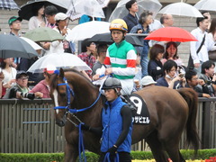 20150621 東京10R 芦ノ湖特別 マッサビエル 15