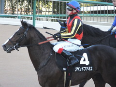 20141227 中山10R リヤンドファミユ 14