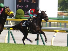 20170506 東京10R メトロポリタンS 4歳上OP マイネルサージュ 21
