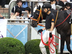 20150926 中山8R 清秋JS メジロサンノウ 02