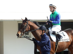 20180224 中山4R 4歳上障害未勝利 トーセンカナロア 14