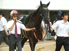 20180916 中山10R 初風特別(1000) ウォーターラボ 12