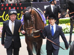 20161030 東京11R 天皇賞・秋(G1) モーリス 08