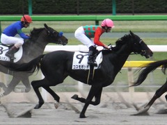 20151031 東京7R 3歳上500万下 コスモポッポ 15