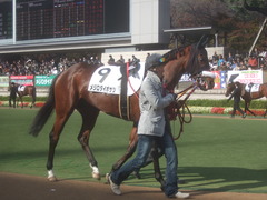 20111127 東京 ダイボサツ9戦目