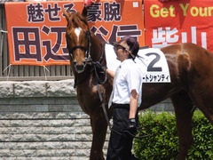 20160604 東京3R 3歳未勝利 オートシャンティ 07