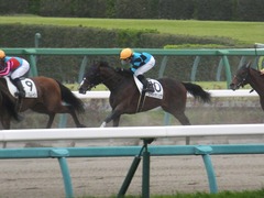 20180407 中山6R 3歳未勝利 エイカイオリンピア 13