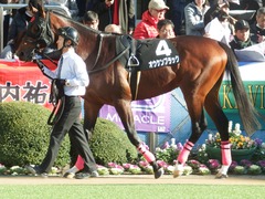 20190105 中山9R 招福S(1600) オウケンブラック 03