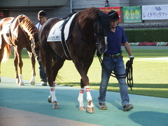 東京12R (1000) メイショウノボサン 07