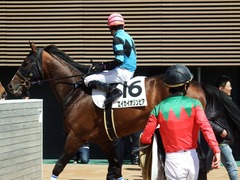 20180317 中山3R 3歳未勝利 エイカイオリンピア 15
