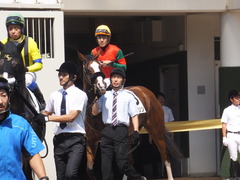 20170909 中山6R 3歳未勝利 プンメリン 15