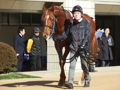 20180113 京都5R 3歳未勝利 ハルキスター 07