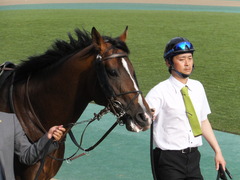 20160508 東京12R(1000)プエルト 10