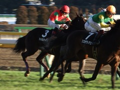 20180127 東京11R 白富士S(OP) マイネルサージュ 23