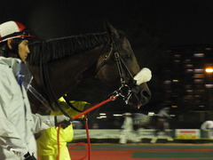 20141022 大井11R マイルGP(S2)グランディオーソ 02