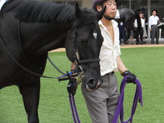 20160911 中山6R 2歳メイクデビュー リュクスワンダー 05
