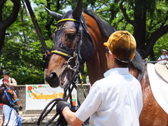 20130608 メジロハクリュウ3