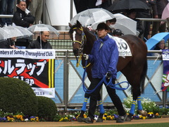 20150308 中山5R 3歳未勝利 ラッシュアタック 05