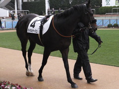 20151213 中山12R 3歳上500万下 マイネルサージュ 03