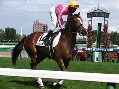 20150905 札幌8R 3歳上500万下 ツクバアスナロ 14