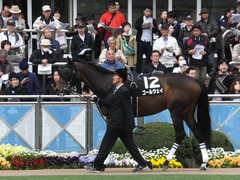 20140419 中山12R ゴールウェイ 04