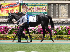 20150426 東京6R 3歳500万下 ファインライナー 03