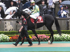 20151108 東京11R AR共和国杯 サトノノブレス 10