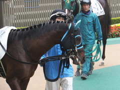 20141101 東京8R トレジャーマップ 06